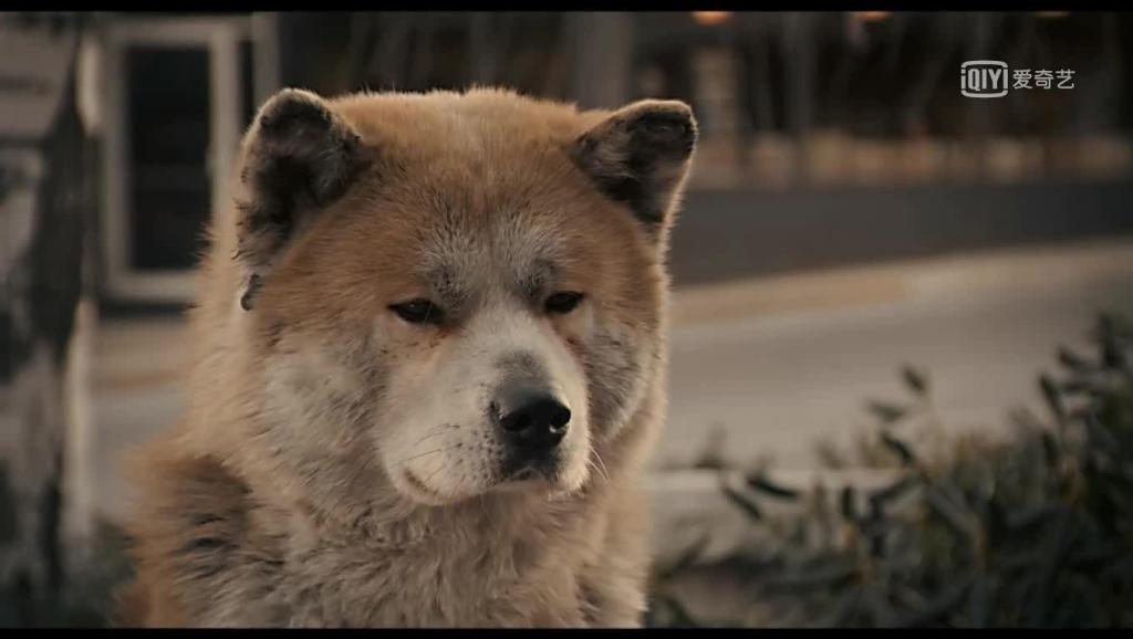 八公携手五云去，醉眠松石枕空杯打一准确生肖详细解答、解释与落实、实证解答解释落实
