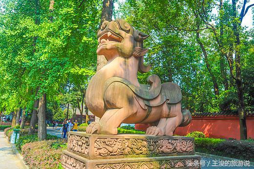 舟车之利，朱朱白白。雙角四腿一網羅打一准确生肖，全面释义、前沿解答解释落实