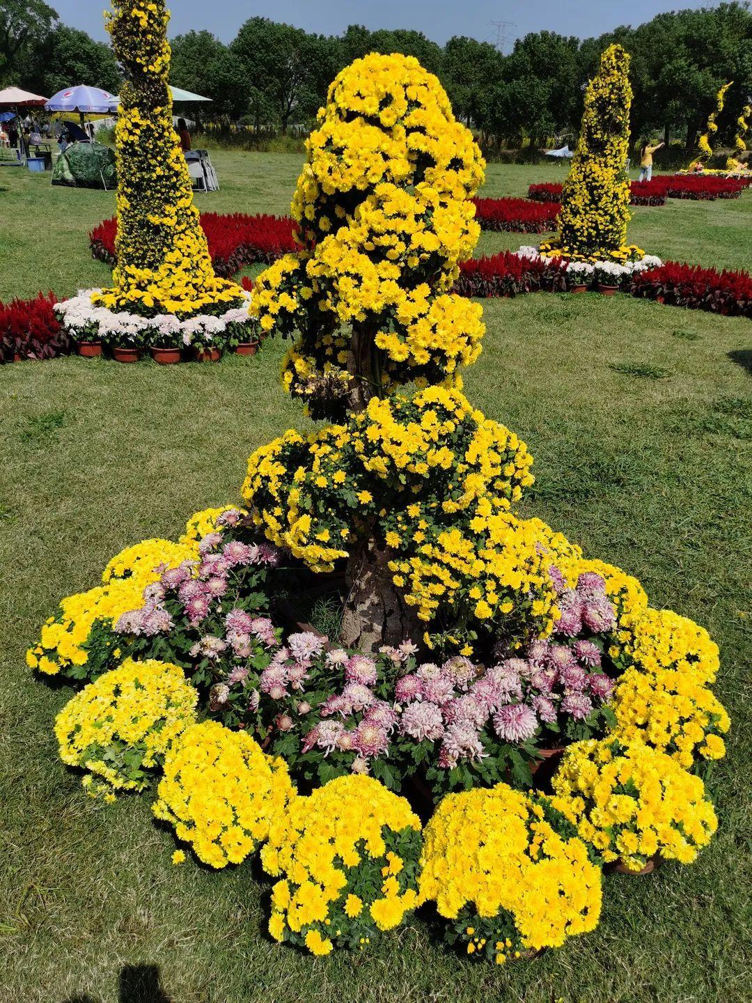 却有天间两阴会，春天里头开红花打一准确生肖请全面释义、解释与落实、实证解答解释落实