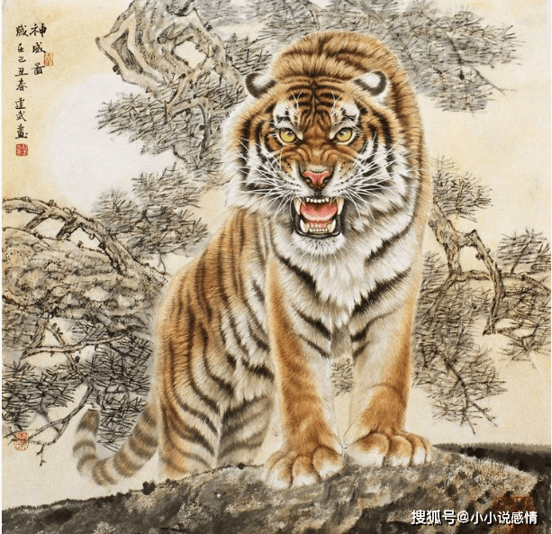 虎虎生威打一准确生肖详细解答、解释与落实、综合解答解释落实