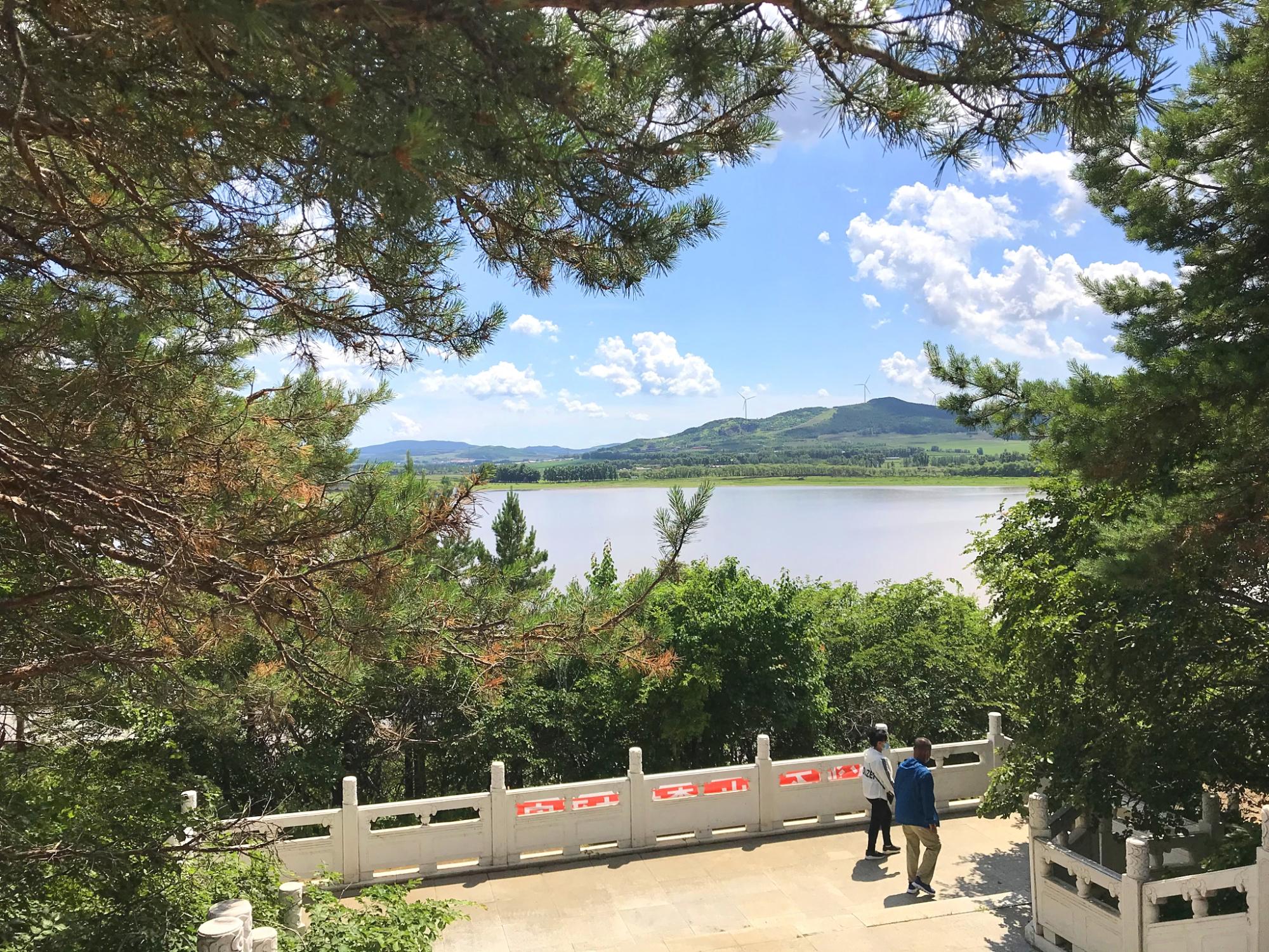 登高望远人向上游下定决心不回头是什么生肖，详细解答、时代解答解释落实