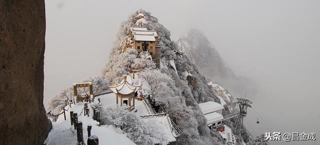 字挟风霜，出山小草。衝破拘束修正果打一准确生肖，全面释义、前沿解答解释落实