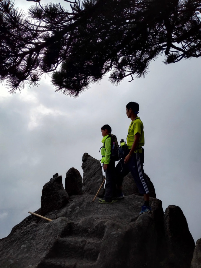 登高望远人向上游下定决心不回头是什么生肖警惕虚假宣传、全面解答与解释、精准解答解释落实