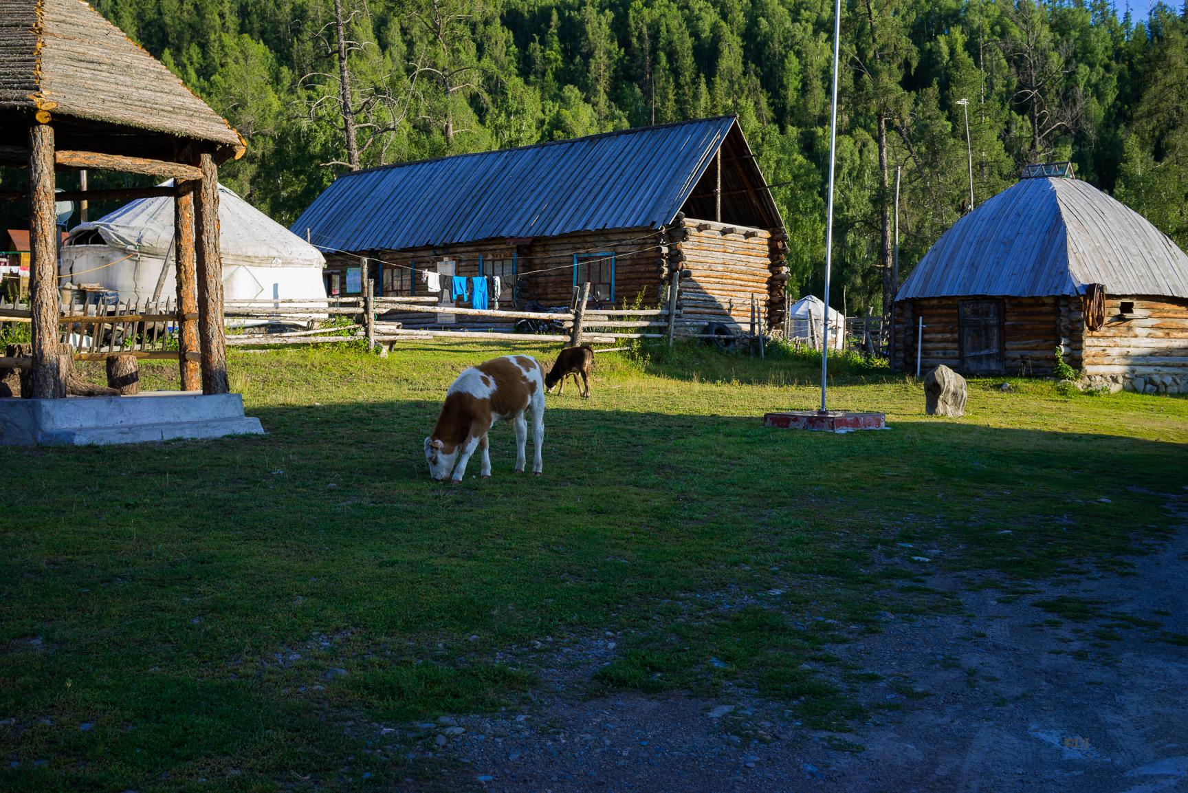 利欲熏心打一准确生肖警惕虚假宣传、全面解答与解释、深度解答解释落实