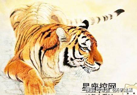 欲钱找敲敲打打的生肖猜一生肖动物详细解答、精准解答解释落实