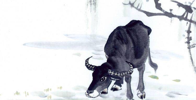 风雨图着我来转,三更半夜难进门打一生肖,警惕虚假宣传,时代解答解释落实