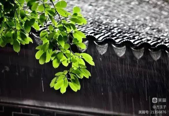 欲钱看雨打黄梅头打一准确生肖详细解答、解释与落实、科学解答解释落实