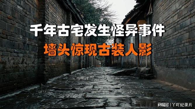 夜半三更才归家打一准确生肖,警惕虚假宣传、全面解答、构建解答解释落实