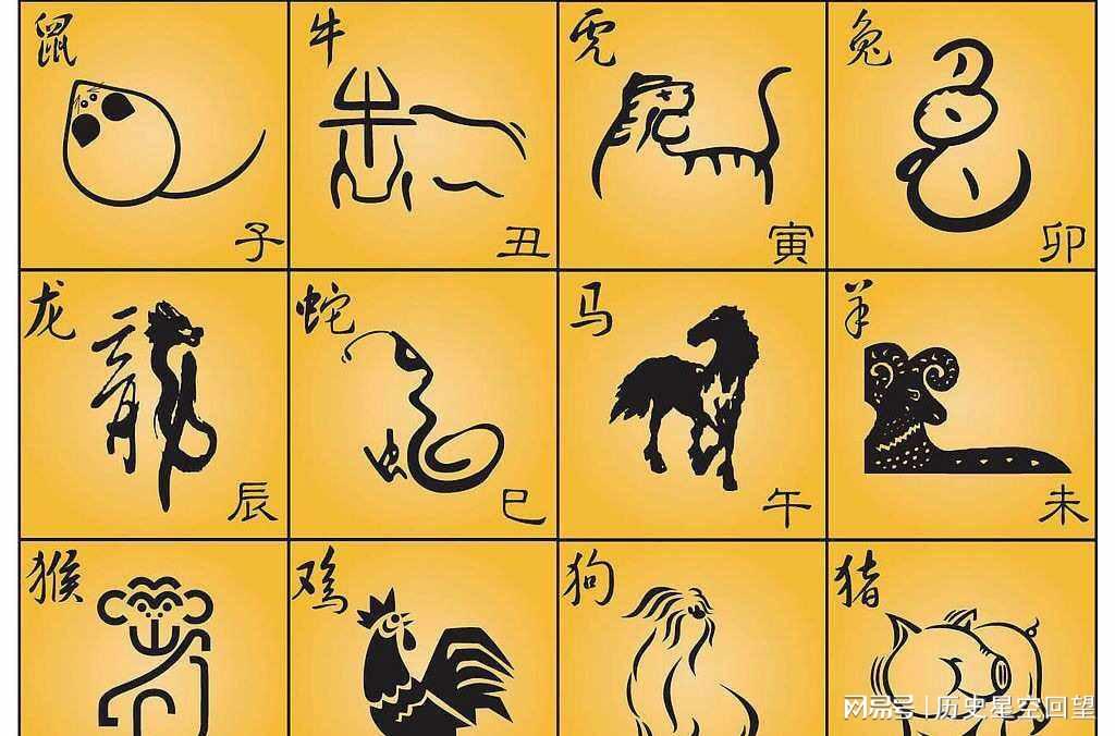 牛马勤劳兔无为打一准确生肖，全面释义、构建解答解释落实