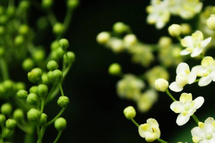 今期生肖必得开，不与小人同路行打一准确生肖,警惕虚假宣传,构建解答解释落实
