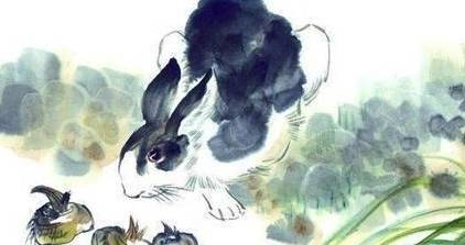 举案齐眉夫妻相是龙是封双双对打一生肖，详细解答、专家解答解释落实