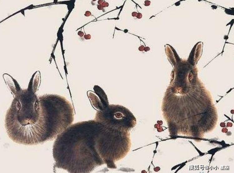 欲钱看唱歌不看曲本打一准确生肖、警惕虚假宣传-全面释义、构建解答解释落实