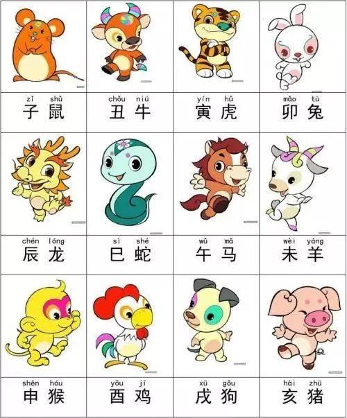 欲钱找敲敲打打的生肖猜一生肖动物，全面释义、专家解答解释落实