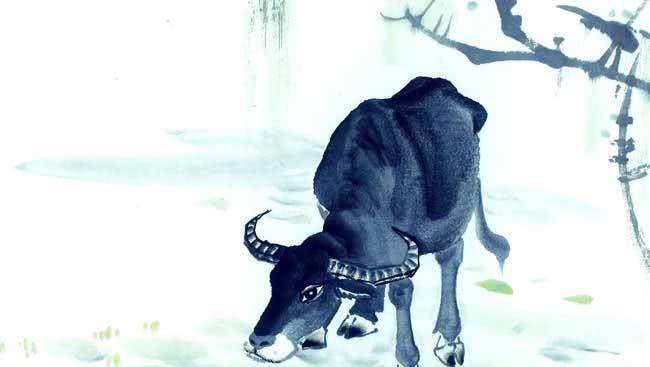 物換星移，誰主沉浮天涯流浪经时节打一准确生肖警惕虚假宣传、全面解答与解释、前沿解答解释落实